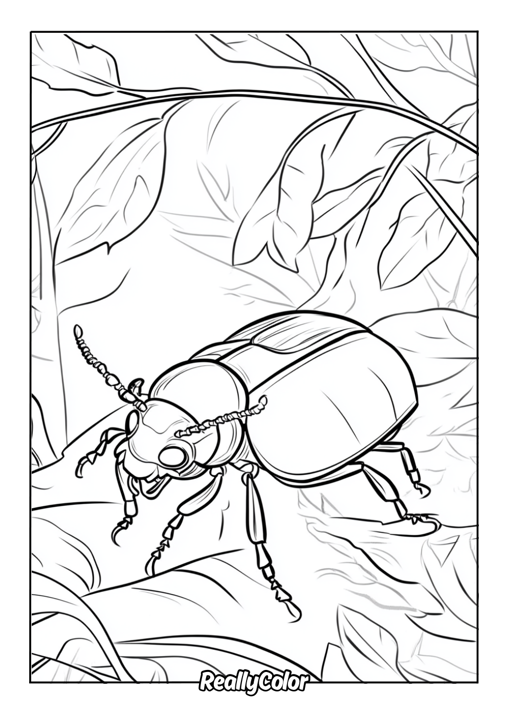 Real beetle coloring page for adults