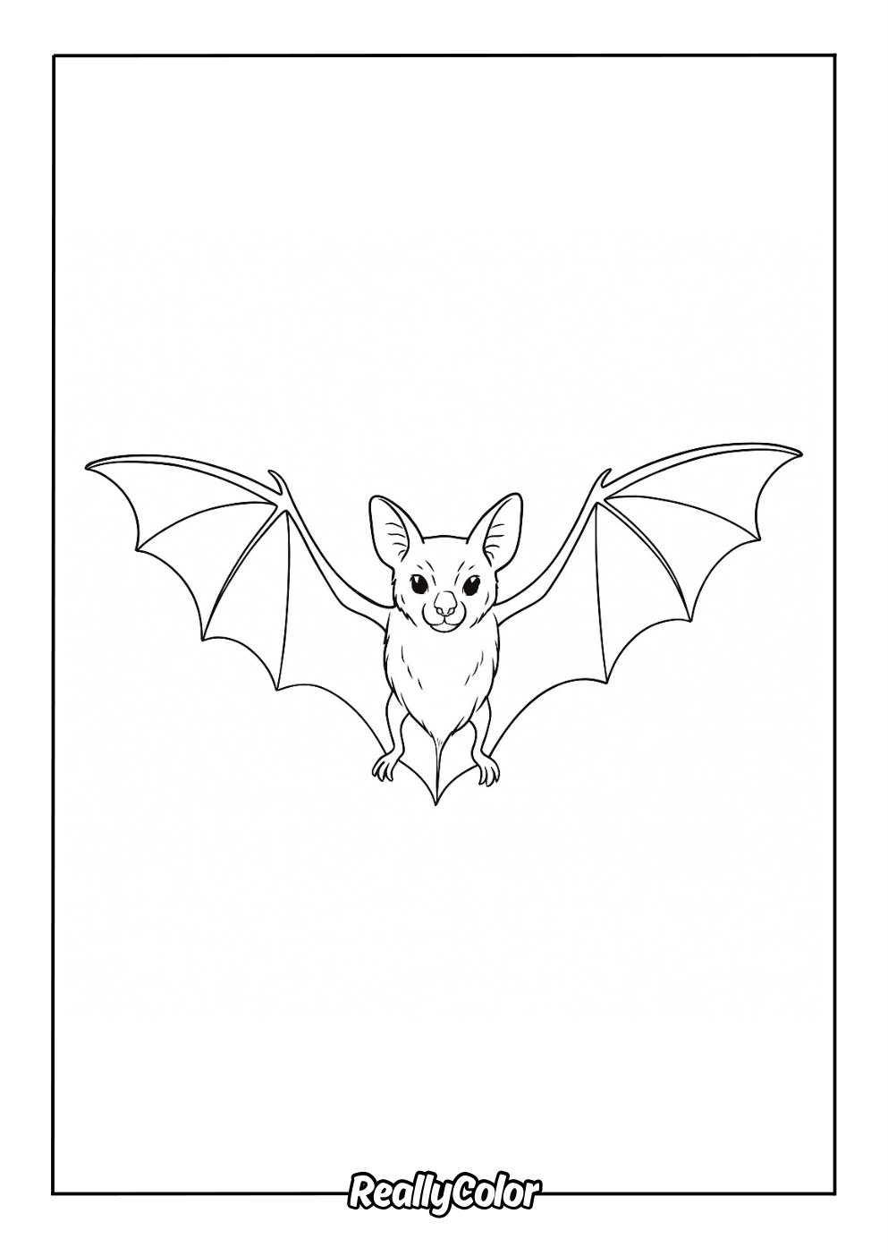 Realistic bat coloring page for adults