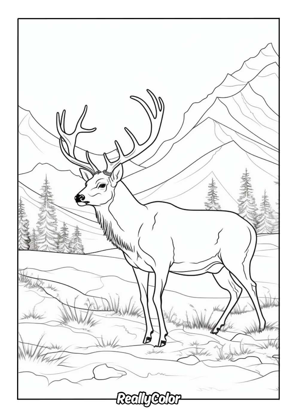 Realistic deer color page for adults