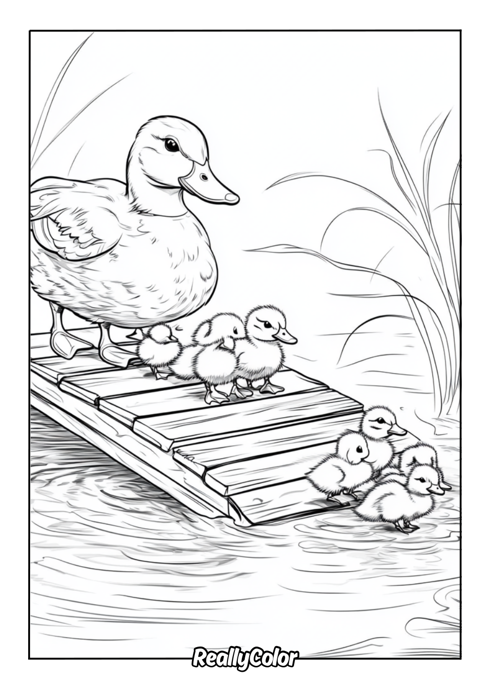 Realistic duck and ducklings coloring page