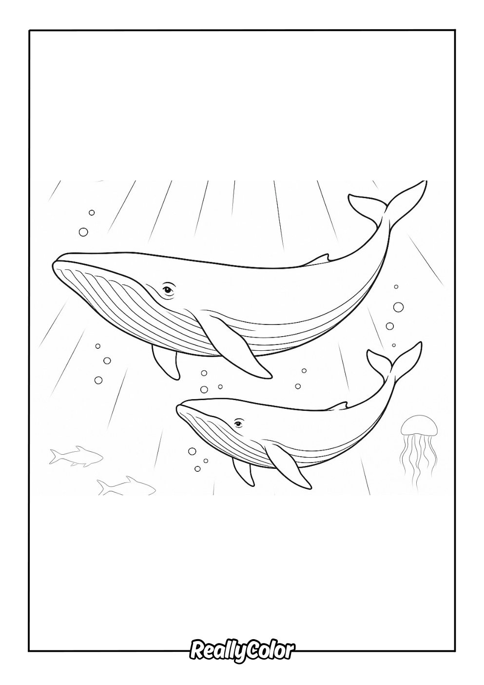 Simple blue whale coloring page