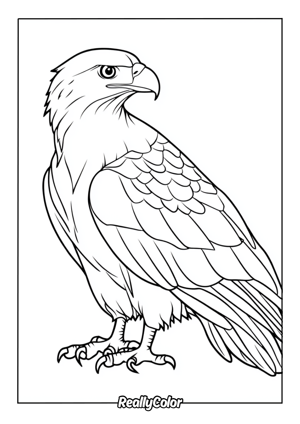 Simple coloring page of a bald eagle