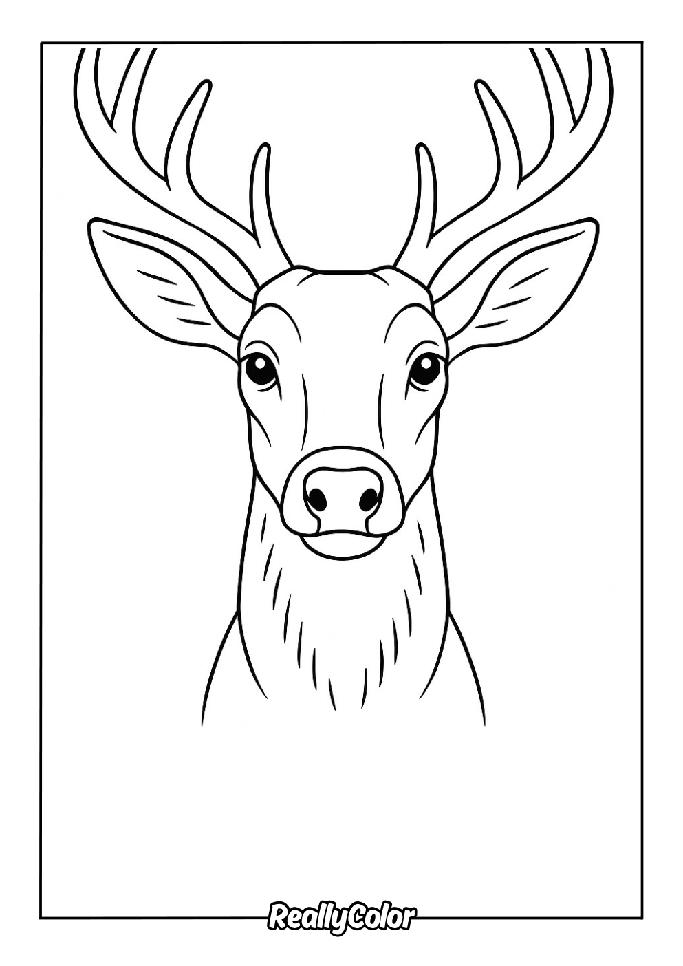 Simple coloring page of a deer head