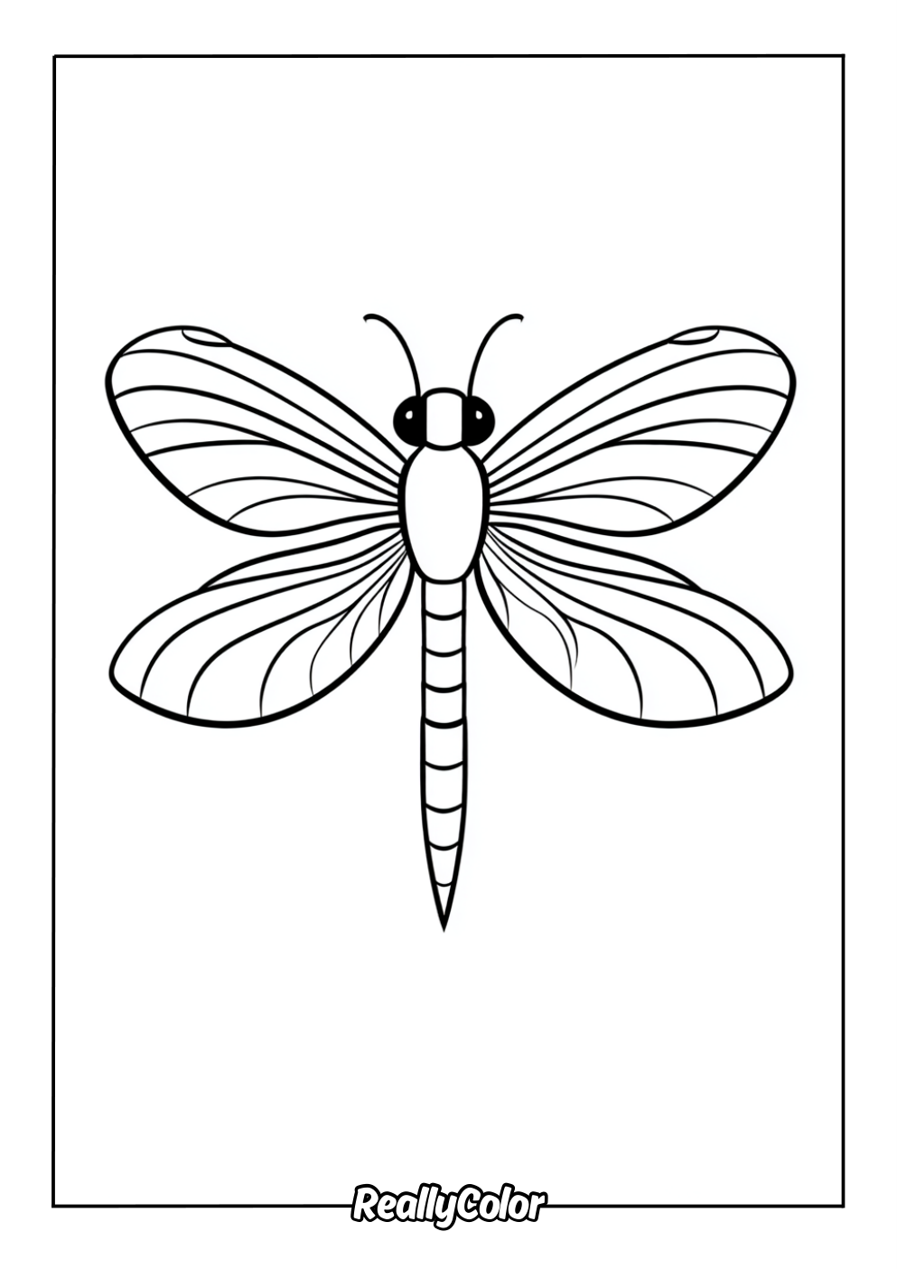 Simple coloring page of a dragonfly